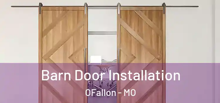  Barn Door Installation OFallon - MO