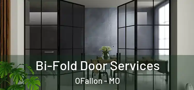  Bi-Fold Door Services OFallon - MO
