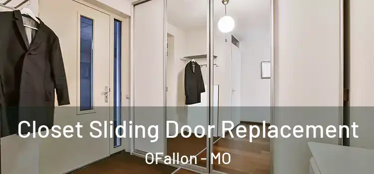  Closet Sliding Door Replacement OFallon - MO