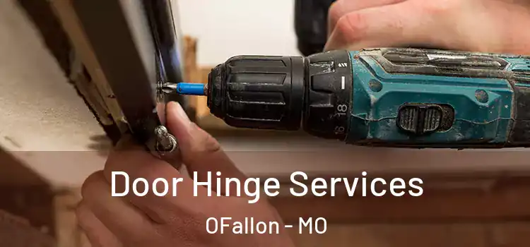  Door Hinge Services OFallon - MO