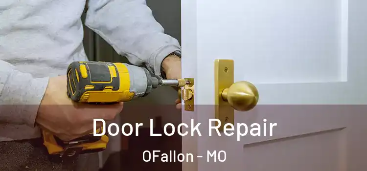  Door Lock Repair OFallon - MO