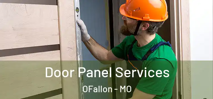  Door Panel Services OFallon - MO