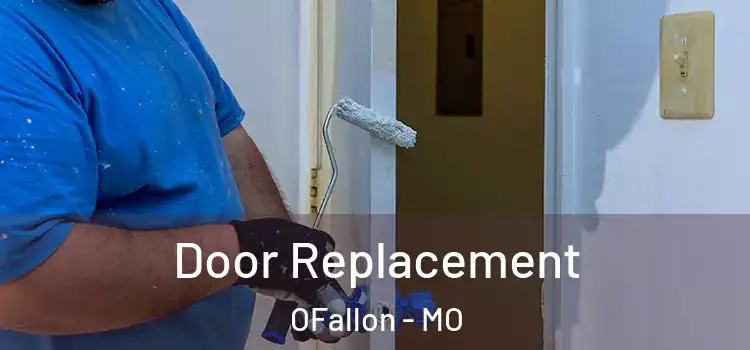  Door Replacement OFallon - MO