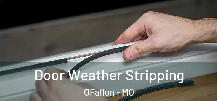  Door Weather Stripping OFallon - MO