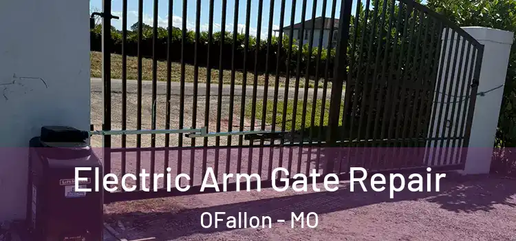 Electric Arm Gate Repair OFallon - MO