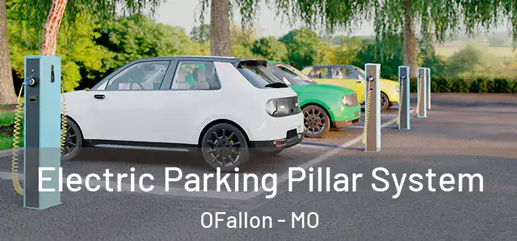  Electric Parking Pillar System OFallon - MO