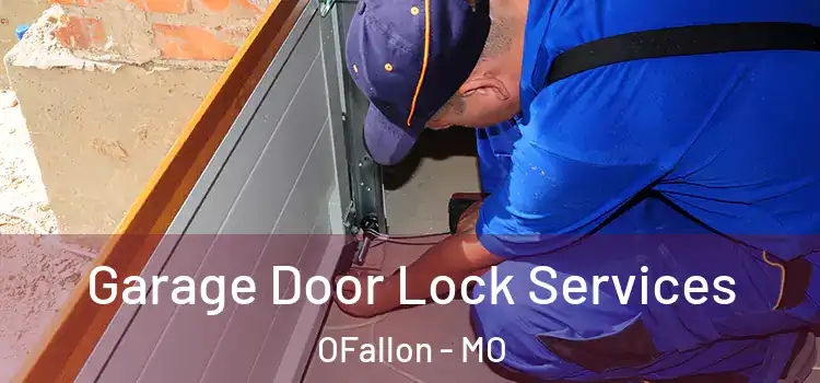  Garage Door Lock Services OFallon - MO