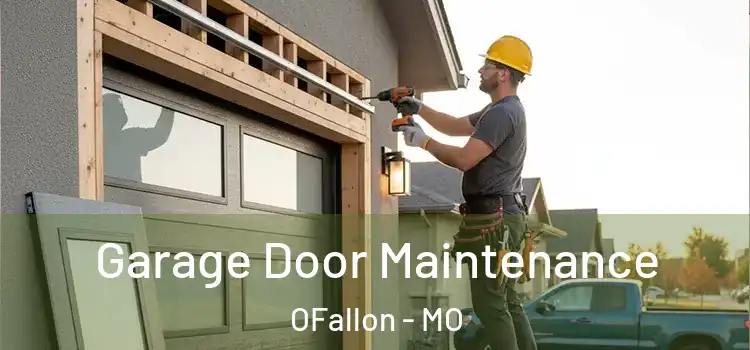  Garage Door Maintenance OFallon - MO