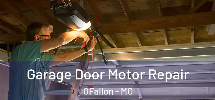  Garage Door Motor Repair OFallon - MO