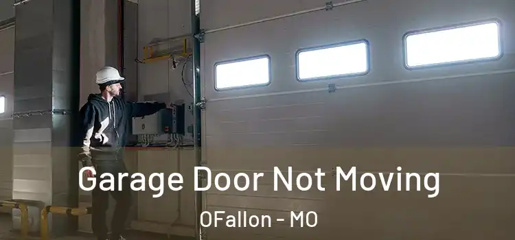  Garage Door Not Moving OFallon - MO