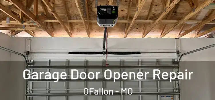  Garage Door Opener Repair OFallon - MO