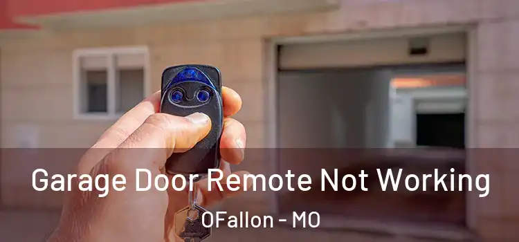 Garage Door Remote Not Working OFallon - MO