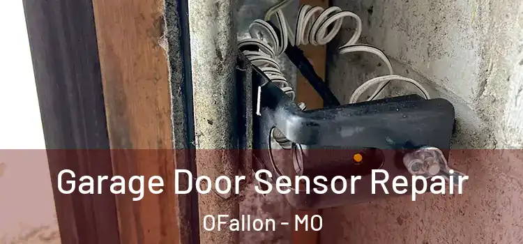  Garage Door Sensor Repair OFallon - MO