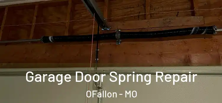  Garage Door Spring Repair OFallon - MO