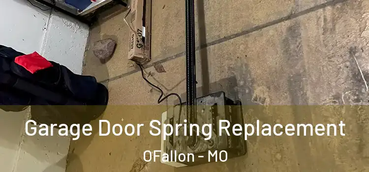  Garage Door Spring Replacement OFallon - MO
