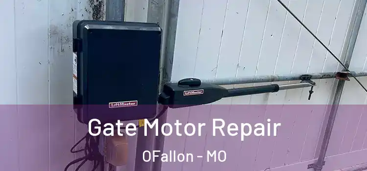  Gate Motor Repair OFallon - MO