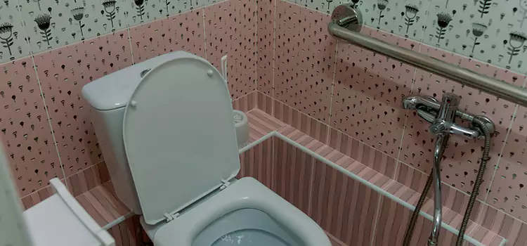 Meeting Diverse Needs With Accessible Restroom Solutions in OFallon, MO