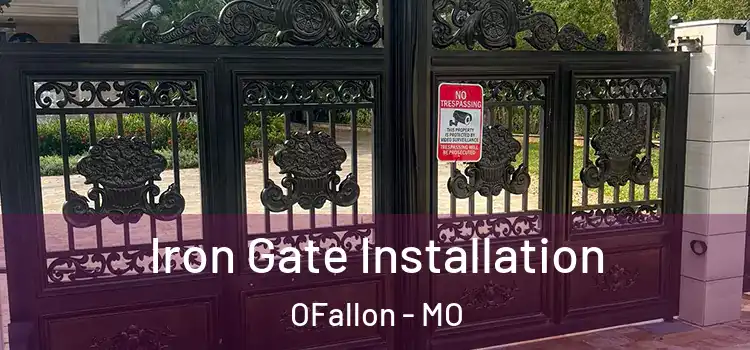 Iron Gate Installation OFallon - MO
