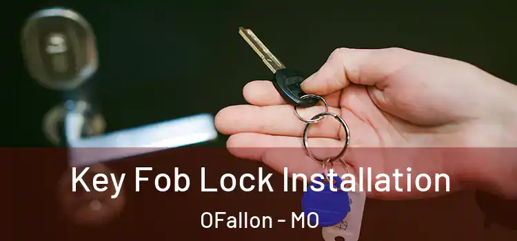  Key Fob Lock Installation OFallon - MO