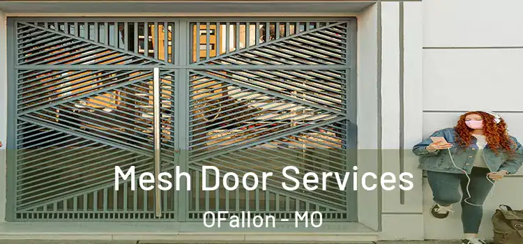  Mesh Door Services OFallon - MO