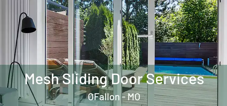 Mesh Sliding Door Services OFallon - MO