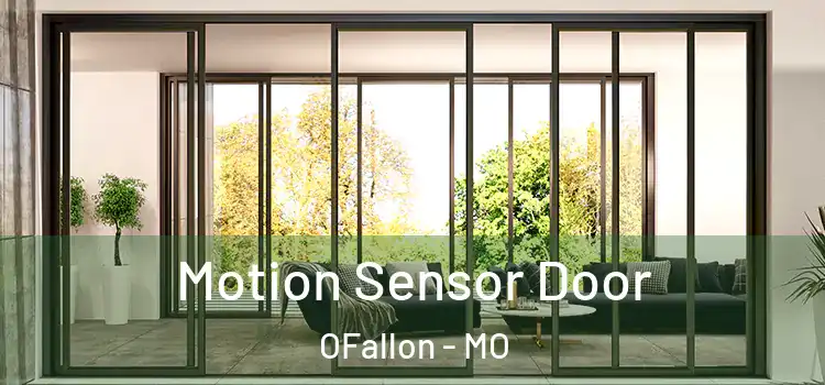  Motion Sensor Door OFallon - MO