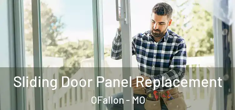  Sliding Door Panel Replacement OFallon - MO