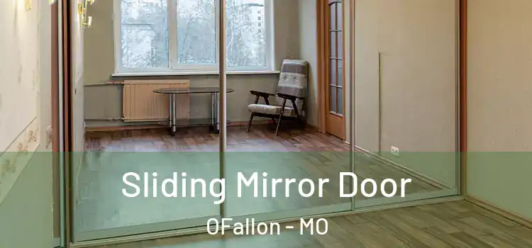  Sliding Mirror Door OFallon - MO