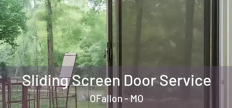  Sliding Screen Door Service OFallon - MO