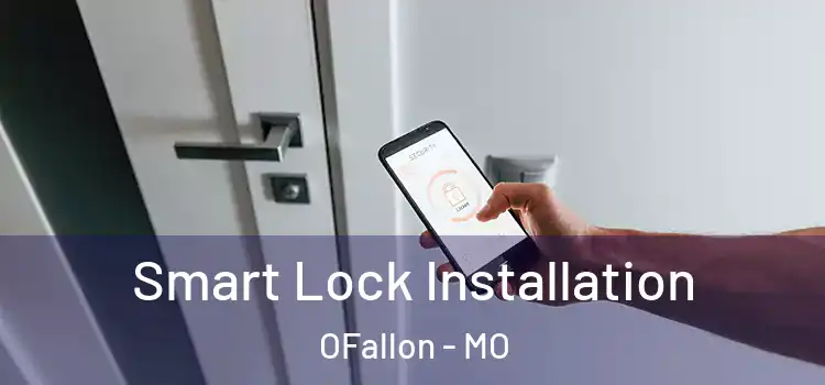  Smart Lock Installation OFallon - MO