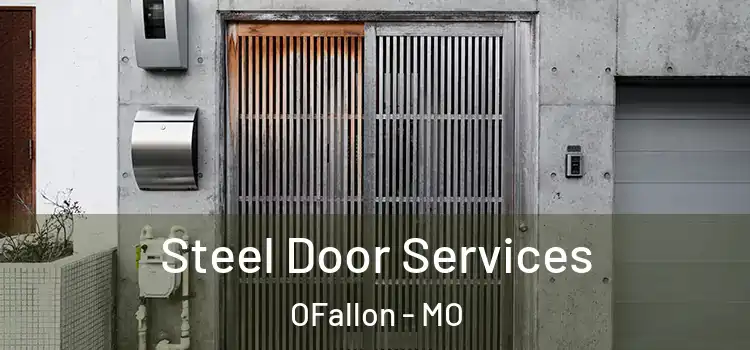  Steel Door Services OFallon - MO