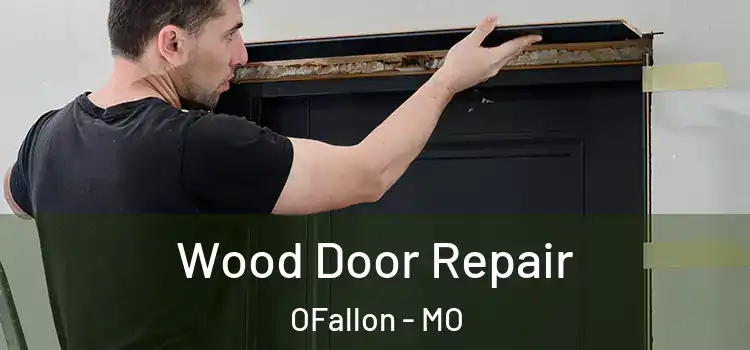 Wood Door Repair OFallon - MO
